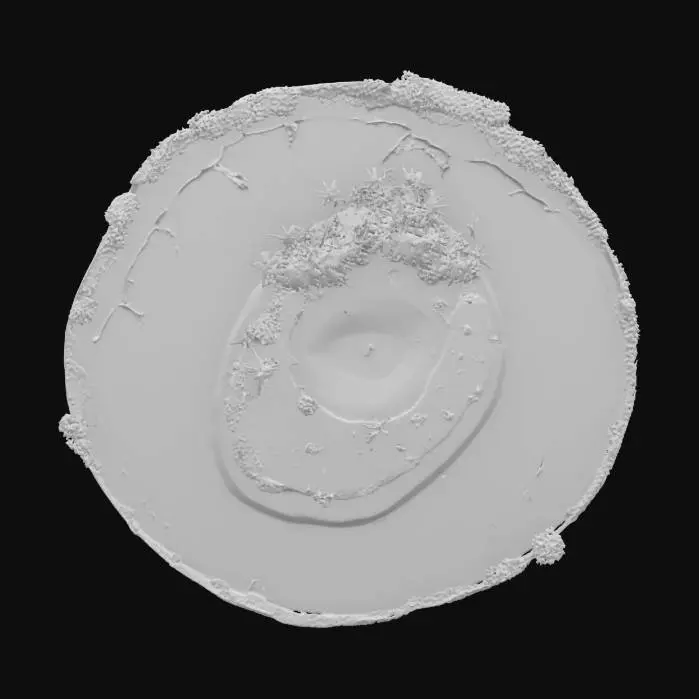 3D model for Island Oasis in a Bowl, #ocean#