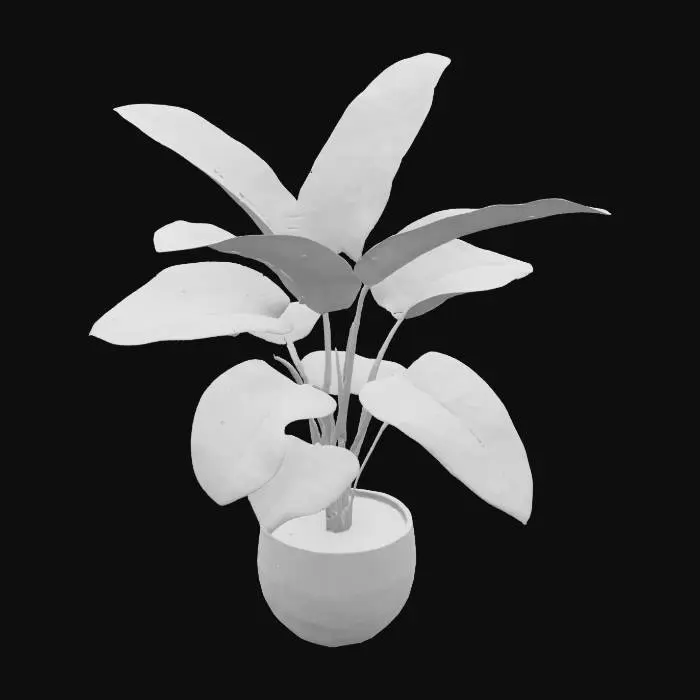 3D model for Tropical Elegance