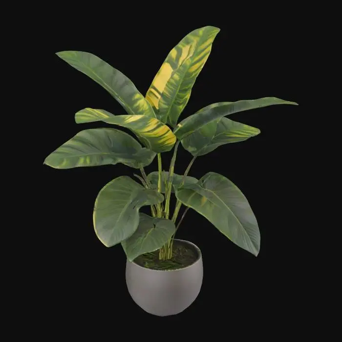 3D model for Tropical Elegance