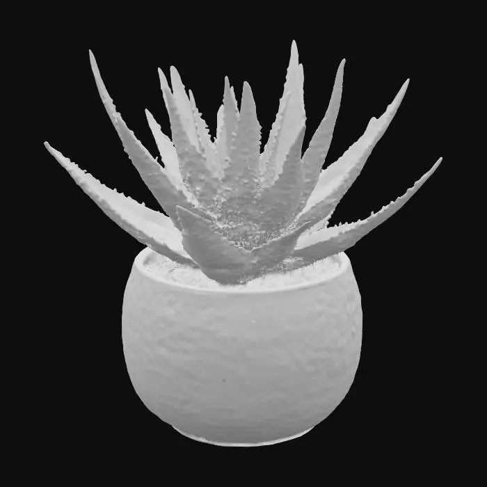 3D model for Aloe Serenity