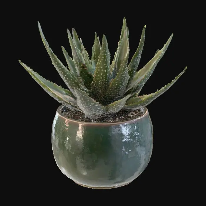 3D model for Aloe Serenity