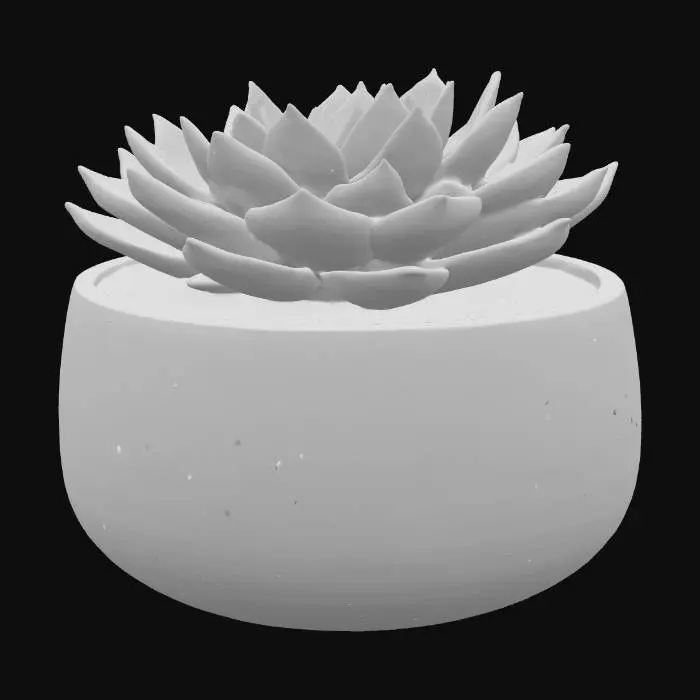3D model for Succulent in a Ceramic Pot