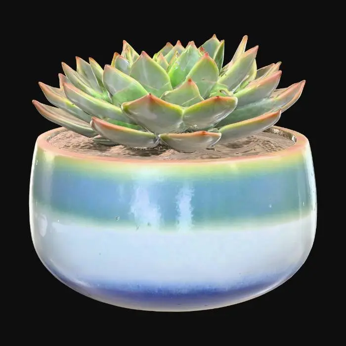 3D model for Succulent in a Ceramic Pot