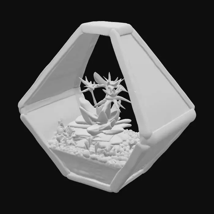 3D model for Geometric Terrarium