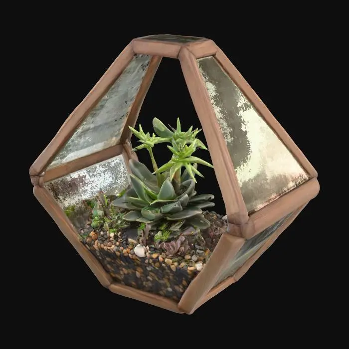 3D model for Geometric Terrarium