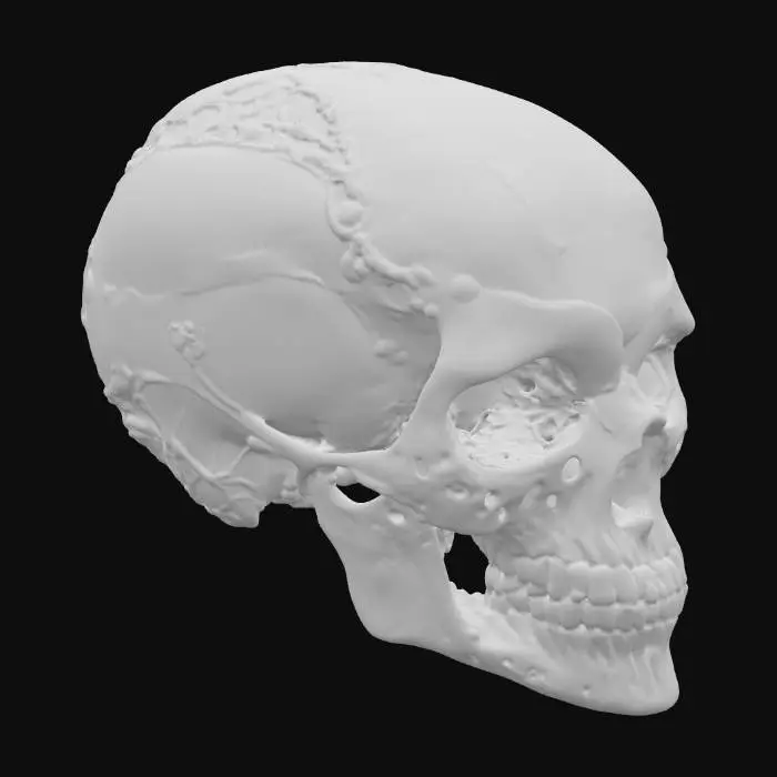 3D model for Cybernetic Skull