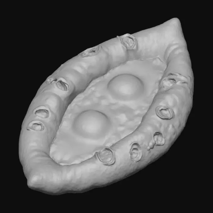 3D model for Khachapuri Delight
