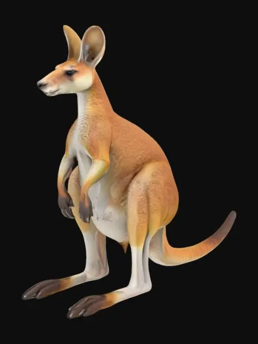 3D model for Ultra-realistic 3D model of an Australian kangaroo (Macropus species), full-body, in a neutral, symmetrical standing pose — upright on hind legs with tail resting for balance and arms relaxed. Anatomically accurate body proportions, including powerful hind legs, long muscular tail, defined forearms, and characteristic head shape with ears upright. True-to-life fur texture and natural coloration — soft brown to grayish coat with slight tonal variation across the body. High-resolution surface details including fur direction, muscle definition, and skin folds. The model must reflect biological realism, symmetry, and be suitable for close-up rendering in realistic lighting conditions. No stylization or exaggeration