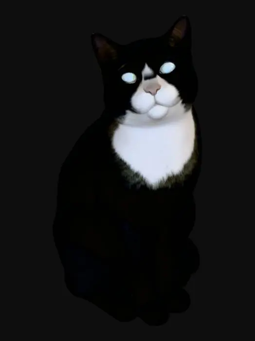 3D model for Kater Silly