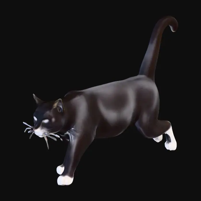 3D model for Strolling Cat, black cat, Black cat is on the prowl, fur on belly and lower part of face and feet is white, rest is black