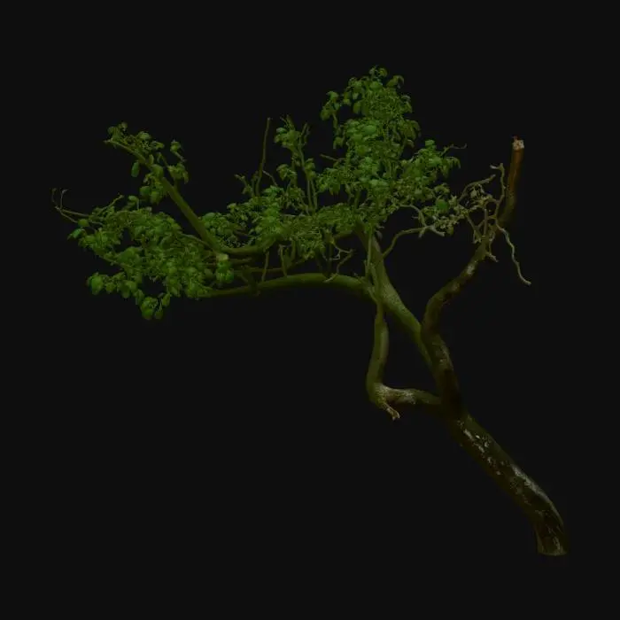 3D model for crooked apple tree