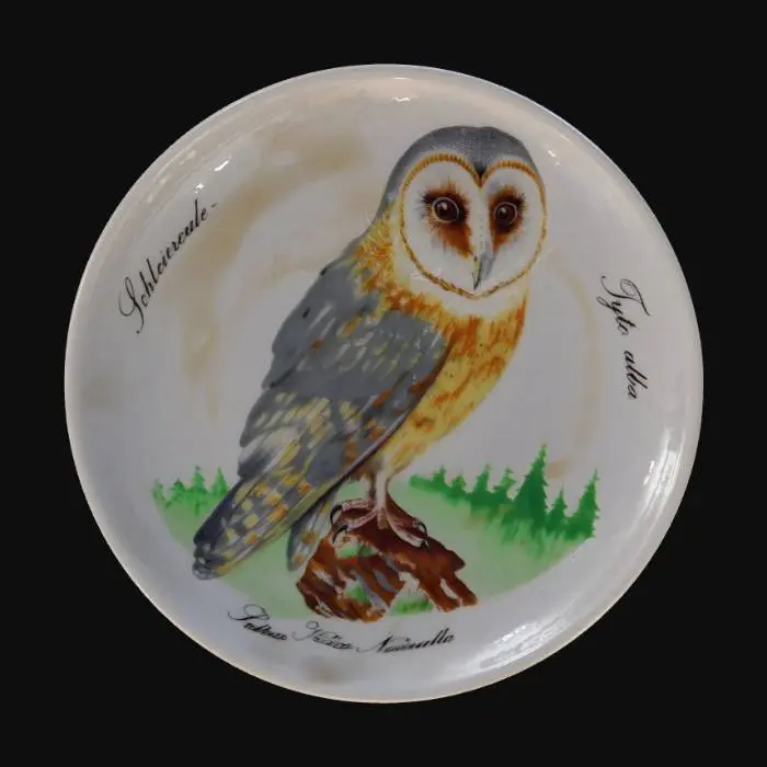 3D model for Owl Plate BV