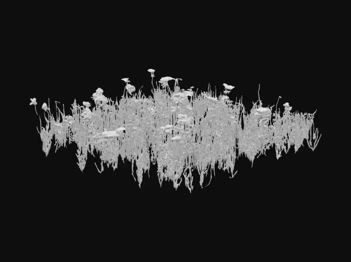 3D model for plaines verdoyantes