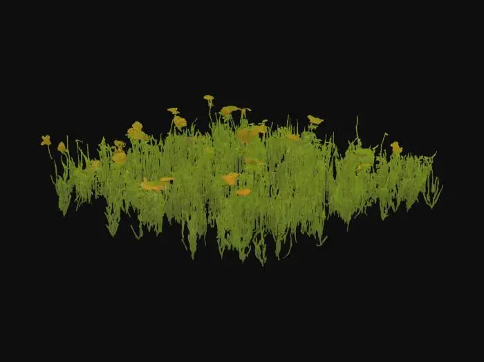 3D model for plaines verdoyantes