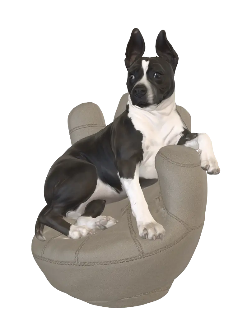 amstaff
