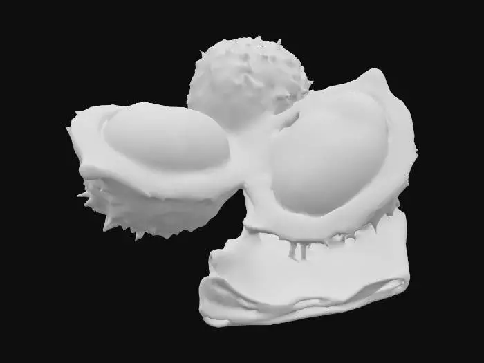 3D model for #food#, ultra réaliste, deux  fruits Durian, dont un coupé en deux laisse apparaître le cœur du fruit.
Le tout est placé sur une serviette, #food#