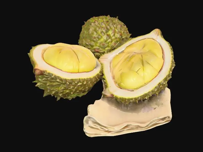 3D model for #food#, ultra réaliste, deux  fruits Durian, dont un coupé en deux laisse apparaître le cœur du fruit.
Le tout est placé sur une serviette, #food#