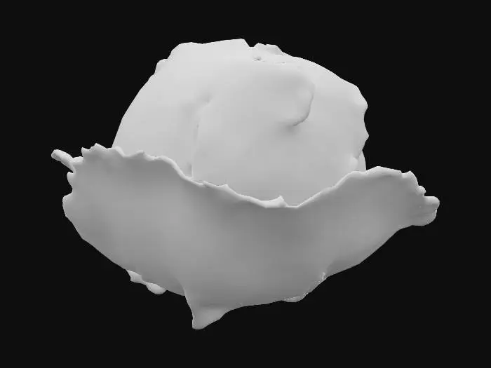 3D model for #food#, ultra réaliste, Bébé garçons naissant dans un choux, #food#