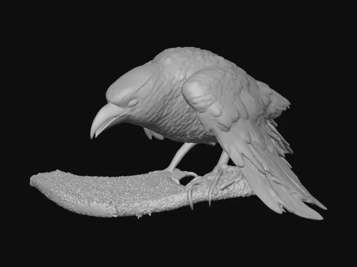 3D model for Un crébain ou crebin, issue du seigneur des anneaux #Halloween2025#