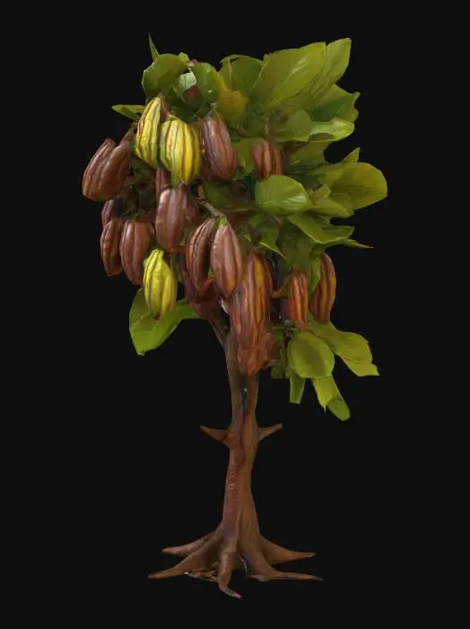 3D model for #food#, ultra réaliste, Un Cacaoyer avec des cabosse., #food#