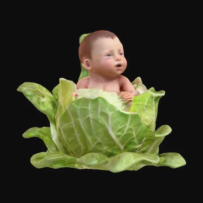 3D model for #food#, ultra réaliste, Bébé garçons naissant dans un choux, #food#