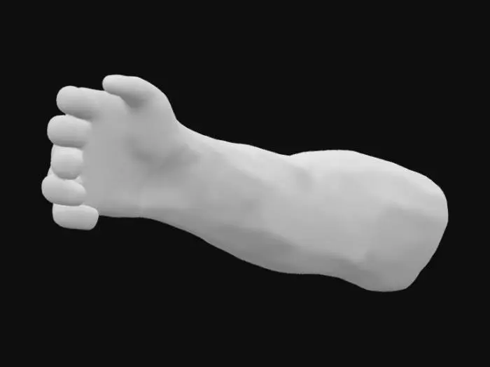 3D model for dirsekten kesilmiş kanlı bir kol parçası