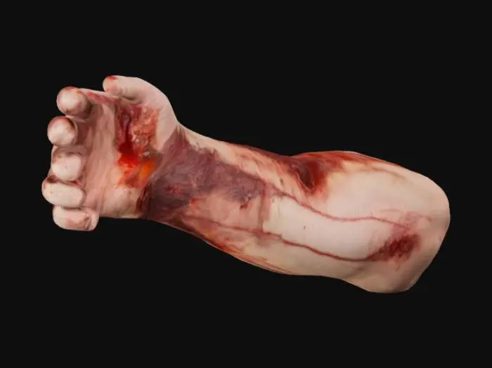 3D model for dirsekten kesilmiş kanlı bir kol parçası