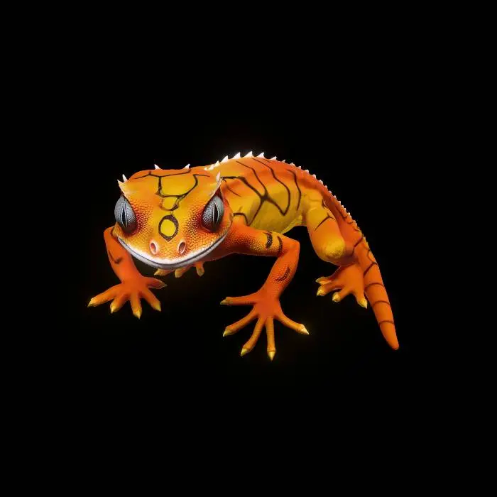 3D model for Sunset Dragon Gecko