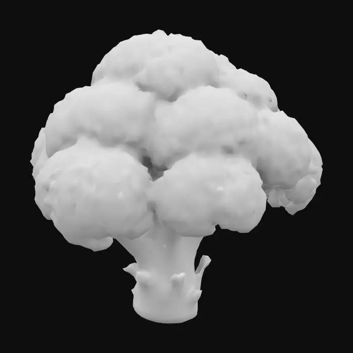 3D model for Romanesco broccoli