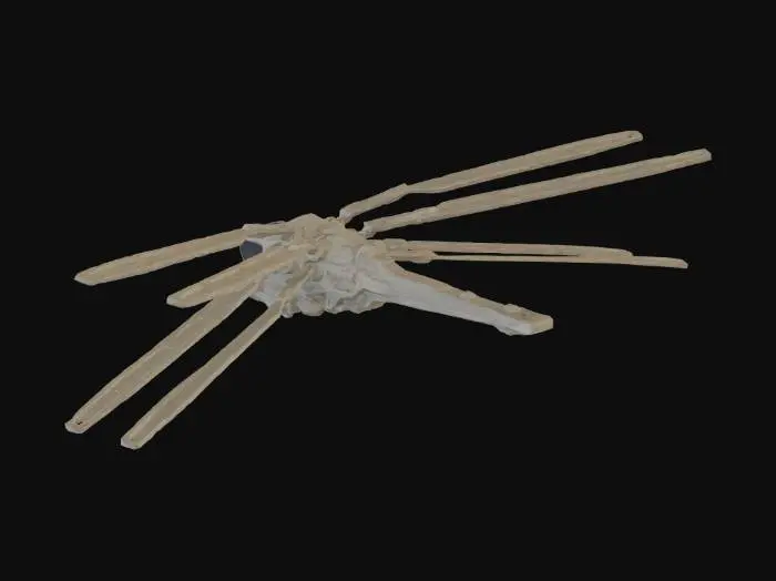 3D model for Desert Octocopter