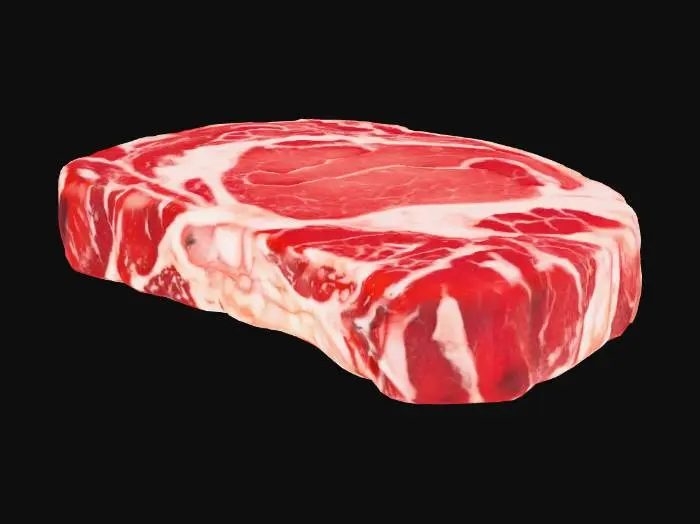 3D model for SLAB OF RED MEAT