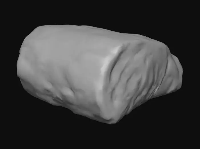 3D model for SLAB OF RED MEAT