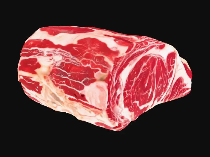 3D model for SLAB OF RED MEAT