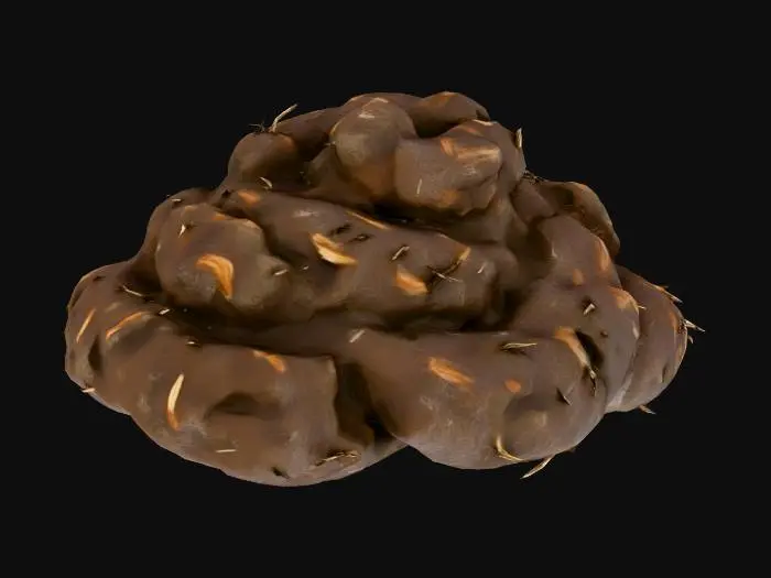 3D model for Pile of horse manure