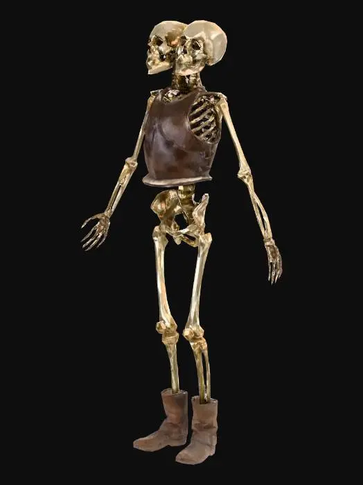 3D model for Dual Guardians