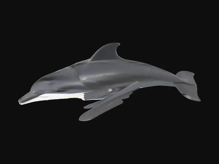 3D model for A sleek dolphin caught mid-motion, its powerful, streamlined body exhibiting an active, dynamic curve as it propels through water. Its smooth, rubbery skin, dark grey above and white below, appears taut and wet, subtly reflecting light. The triangular dorsal fin and robust pectoral flippers are angled, suggesting momentum, while its tail fluke is poised for a downward thrust. Its expression is alert and intelligent, characteristic of a creature in fluid movement.
