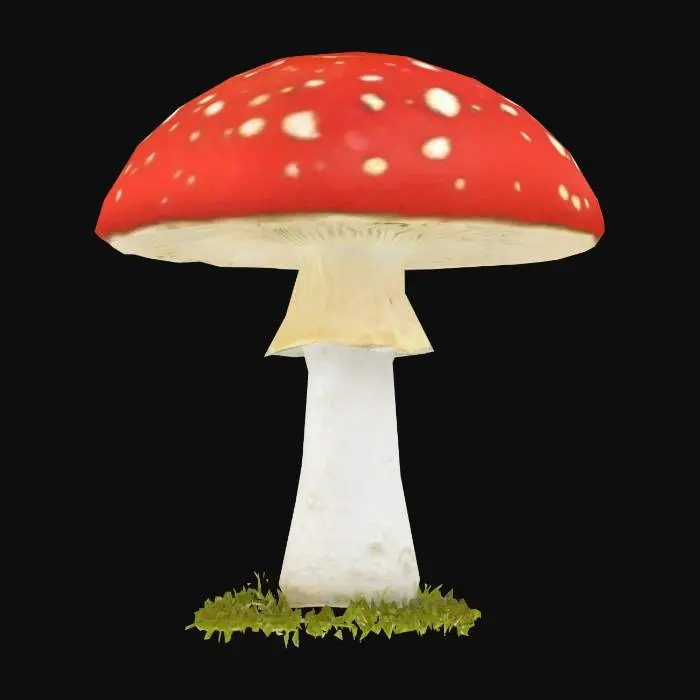 3D model for generate an amanita muscaria mushroom 