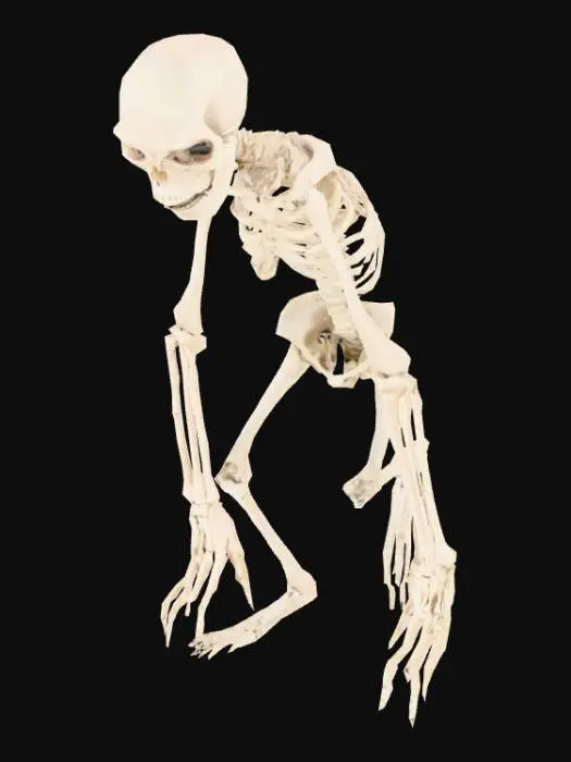 3D model for a humanoid with very long hand touching the ground, skinny, nearly like skeleton, anorexia, undead. he has 3 fingers and big eyes and open mouth. a pose