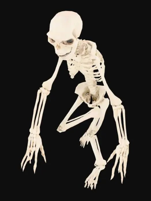 3D model for a humanoid with very long hand touching the ground, skinny, nearly like skeleton, anorexia, undead. he has 3 fingers and big eyes and open mouth. a pose