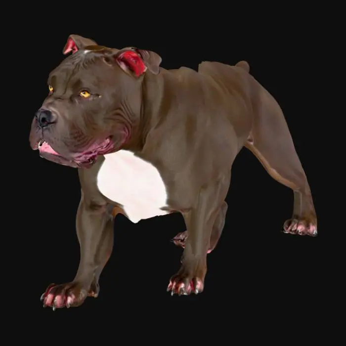 3D model for Really powerful looking American Pitbull Dog