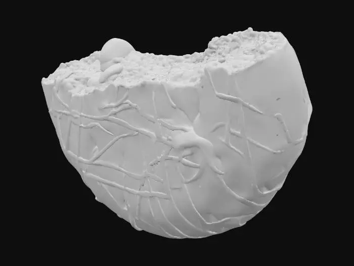 3D model for Pink Delight