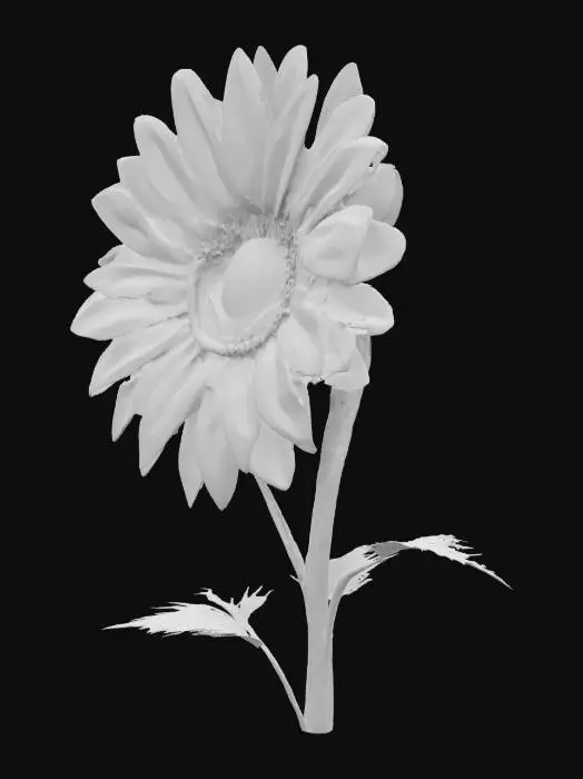 3D model for Singularity Sunflower

A mesmerizing black sunflower with spiral-patterned petals that pull light toward its dark center
