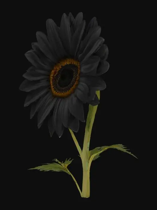 3D model for Singularity Sunflower

A mesmerizing black sunflower with spiral-patterned petals that pull light toward its dark center
