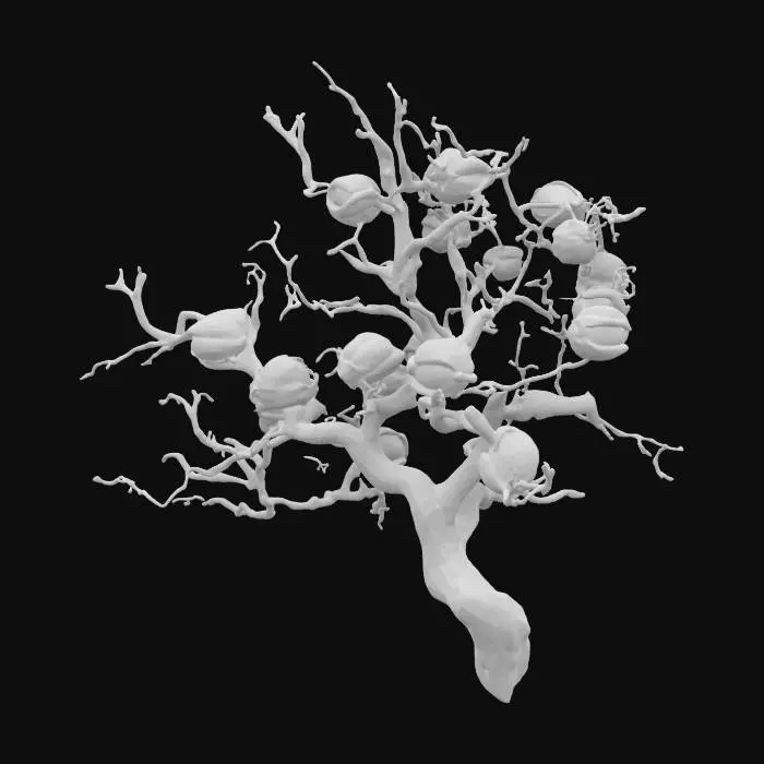 3D model for Haunted Hazelnut

A gnarled, twisted shrub bearing glowing purple nuts that whisper when shaken
Spawning: Only grows in abandoned campsites or near graves.
