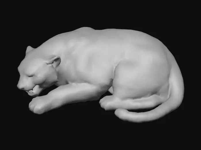 3D model for schlafender Tiger, zusammengerollt und auf der seite liegend