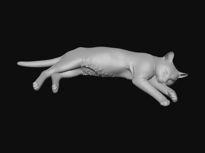 3D model for Cat Nap
