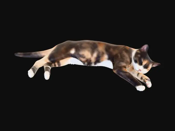 3D model for Cat Nap
