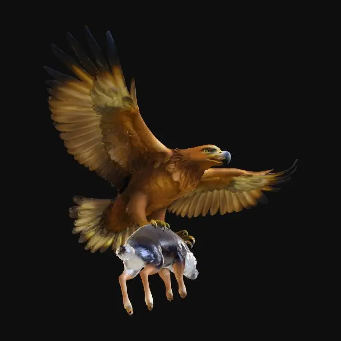 3D model for Flight of the Hunter