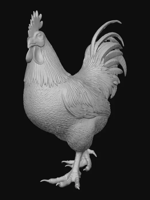 3D model for HuhnBraun