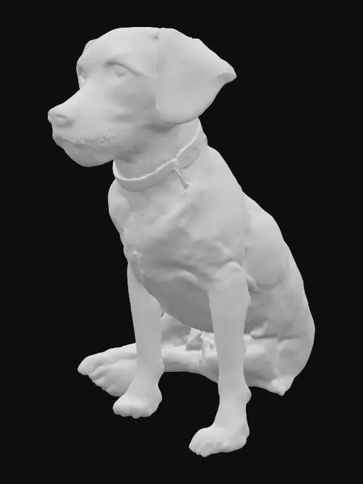 3D model for Shadow Companion